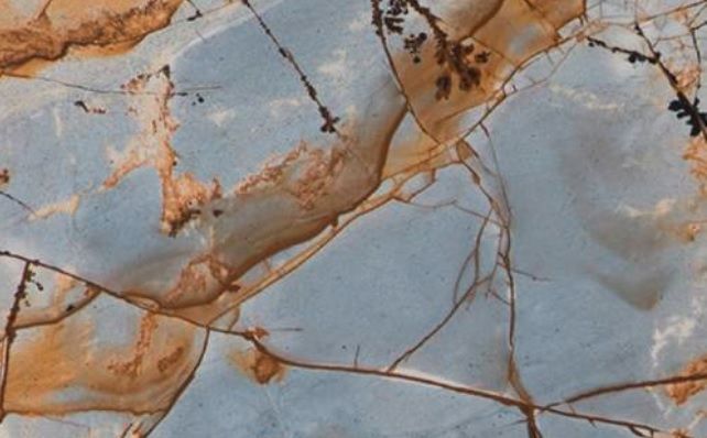 Blue Roma - Portada.jpg